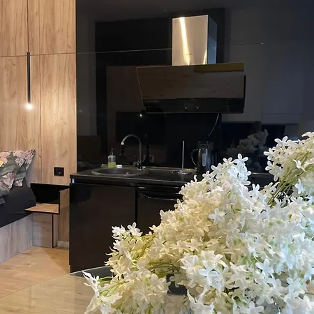 Lux Dabic 1 Lejlighed *